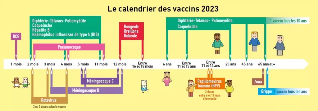 Calendrier des vaccinations